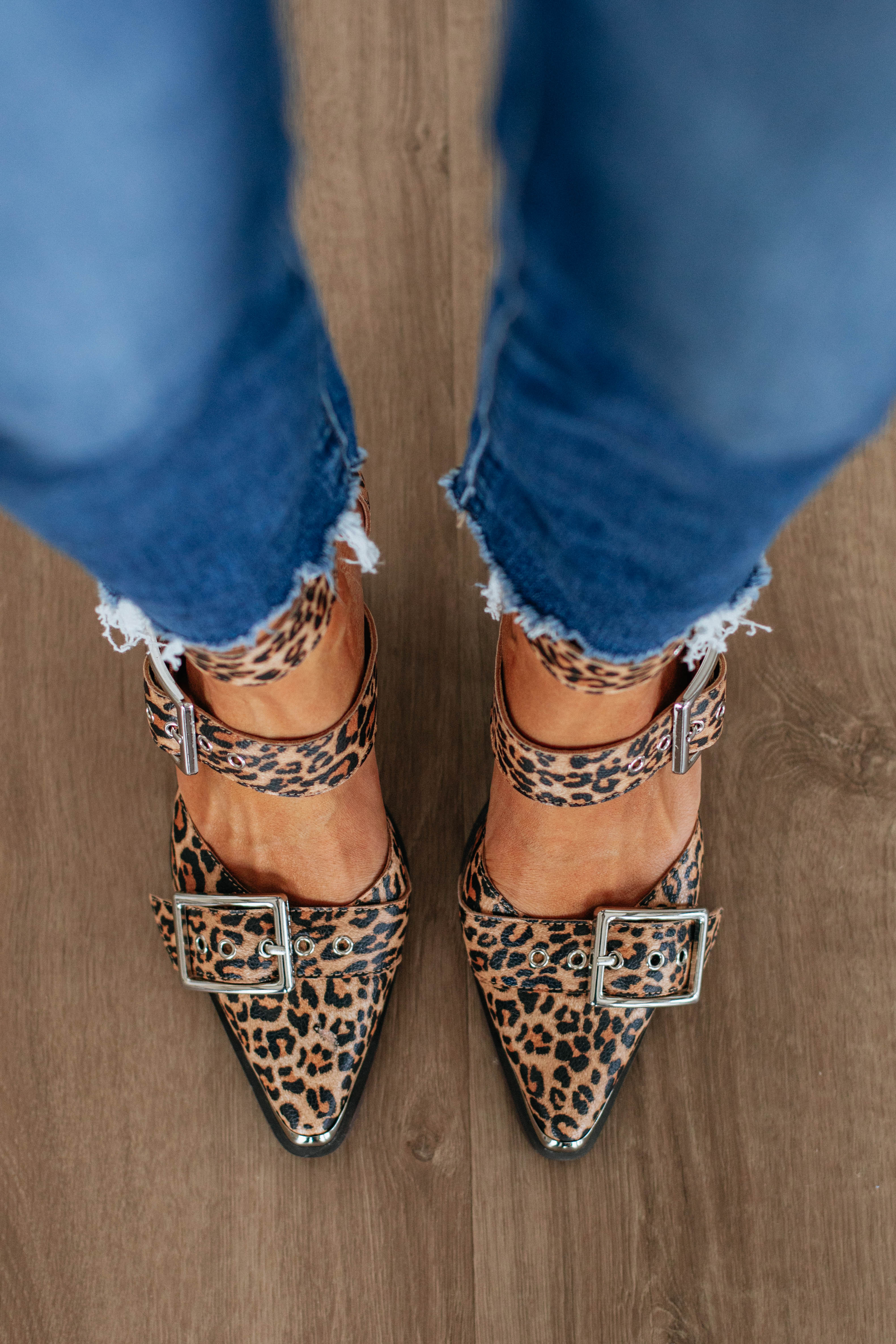 Leopard print heeled sandals with buckle straps and pointed toe, block heels